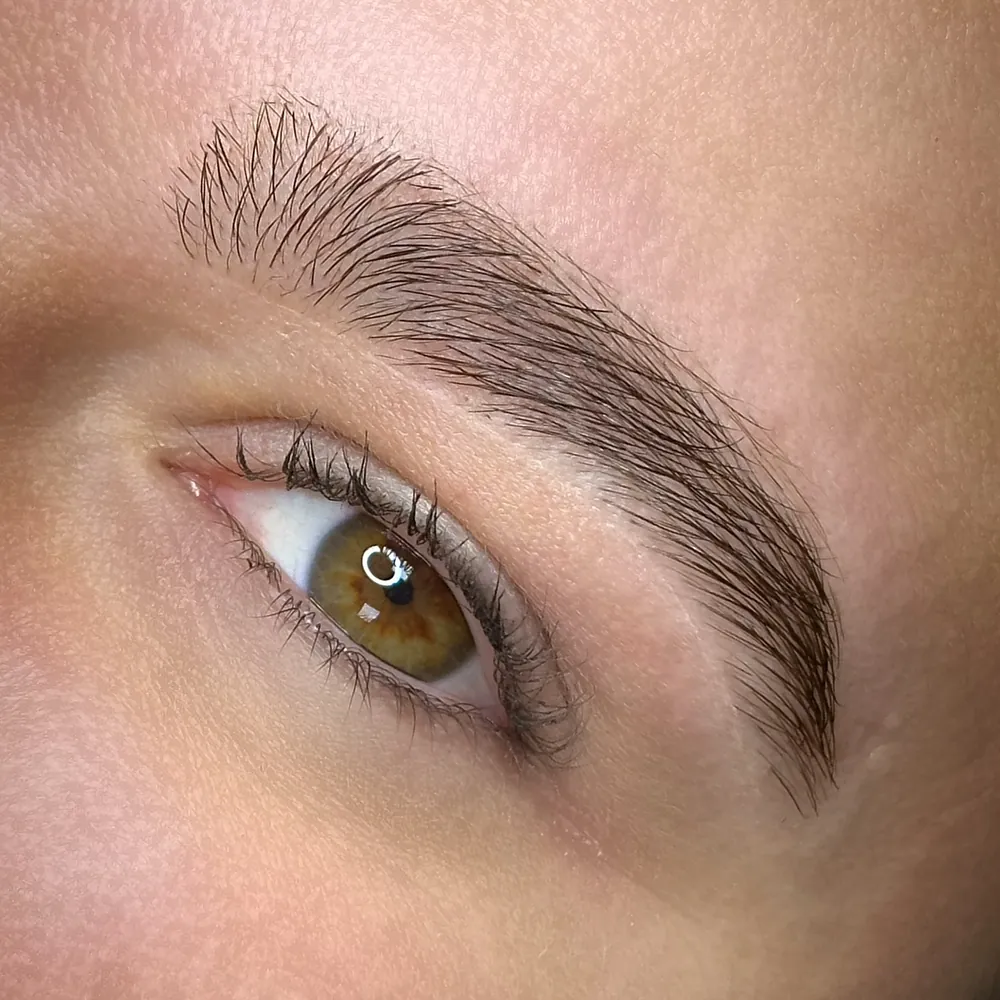 Eyebrow Design result: close-up of a natural, groomed brow